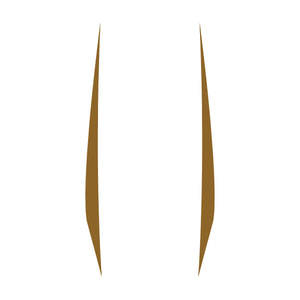 2020-2023 Chevrolet Corvette Hood Stripes Decal - Pair Matte Gold No Cutout - Solid Stripes