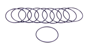 Filter O-Rings (10)