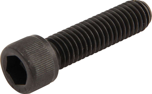 Socket Head Bolts 1/4-20 x 1in 5pk