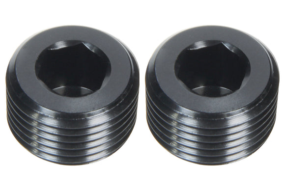 Allen Plugs NPT 1/16in 2pk