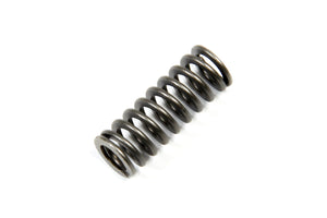 Piston Return Spring