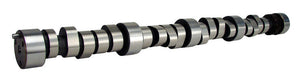 BBC Solid Roller Cam CB 300BR-14