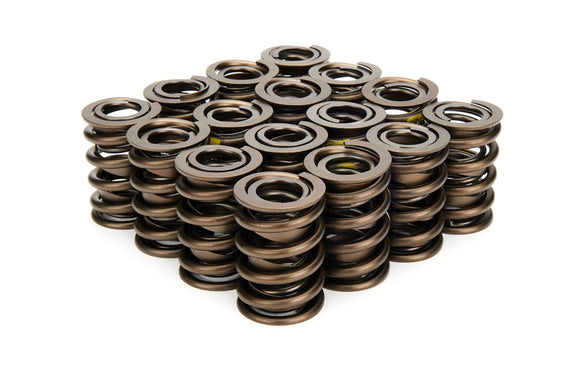 Valve Springs - 1.440