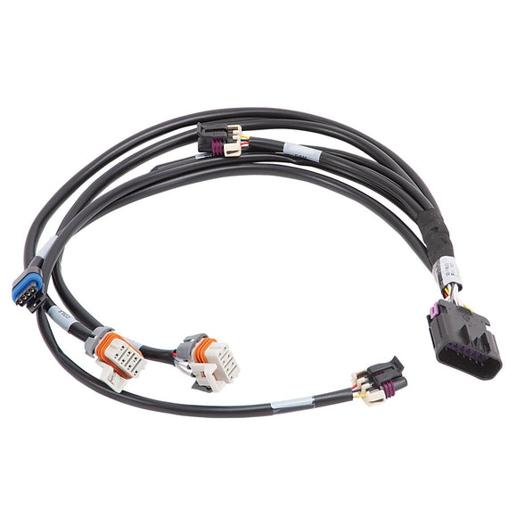 IAC Ignition Harness Pro-Flo 4 GM LS 24x