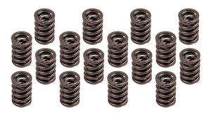 1.460 Valve Spring Set 16