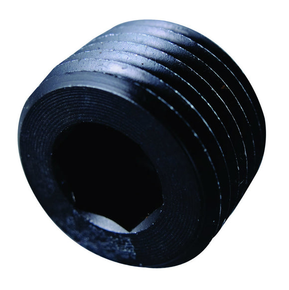 1in MPT Pipe Plug w/ Internal Allen