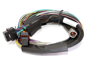 Elite 2500 Basic Univ. Wire Harness