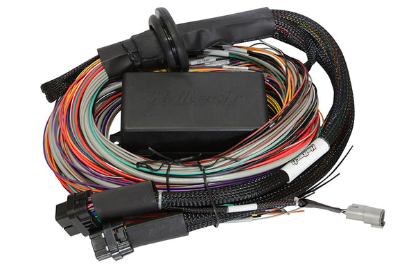 Elite 2500 Premium Univ. Wire Harness