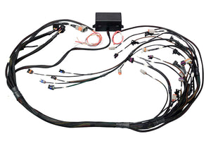 Elite 2000/2500 Non DBW Terminated Wire Harness