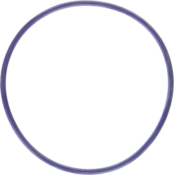 Water Pump Gasket 11-24 Ford 5.0L