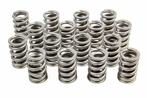 1.260 Single Valve Springs RPM Series (16)