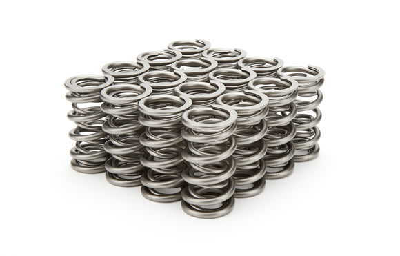 1.290 Dual Valve Springs - RPM Series (16)