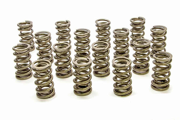 1.290 Dual Valve Springs - RPM Series (16)