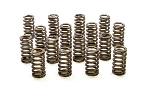 1.307 Valve Springs - Ovate Beehive (16)