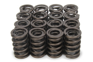 1.490 Dual Valve Springs (16)