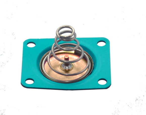 Diaphragm Kit - Pressure Regulator - Alcohol